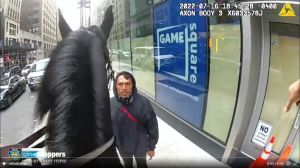 Película de vaqueros en la vida real: a caballo atraparon a un ladrón en Times Sq de Nueva York; video NYPD