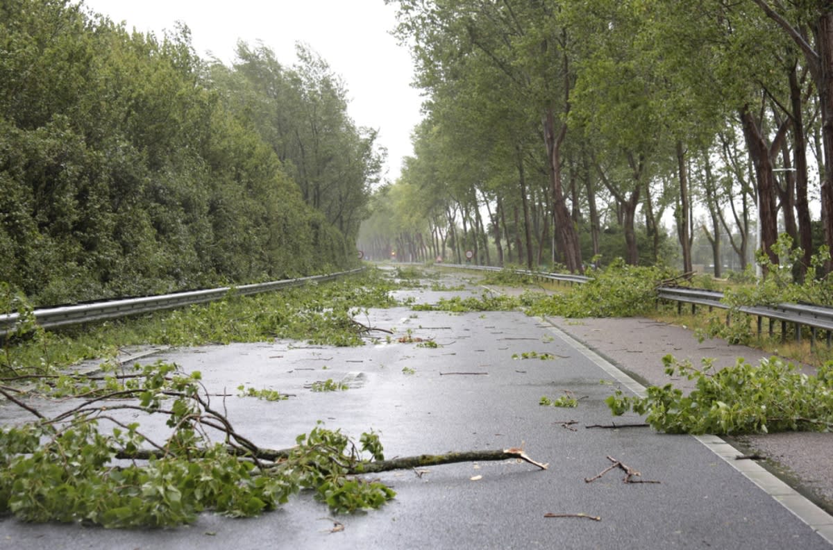 Más de 50 millones de habitantes bajo amenaza de vientos dañinos por tormentas este lunes