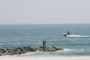 “Primero los tiburones, ahora las medusas”: cientos de bañistas fueron picados en playas de Nueva York