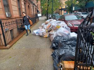 Concejo Municipal aprueba nuevo plan de mitigación de ratas en NYC