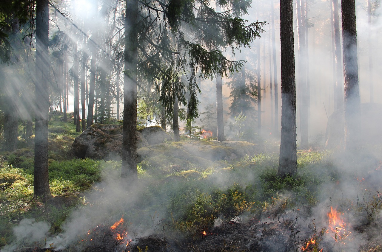 Emiten alerta de riesgo elevado de incendios en la región