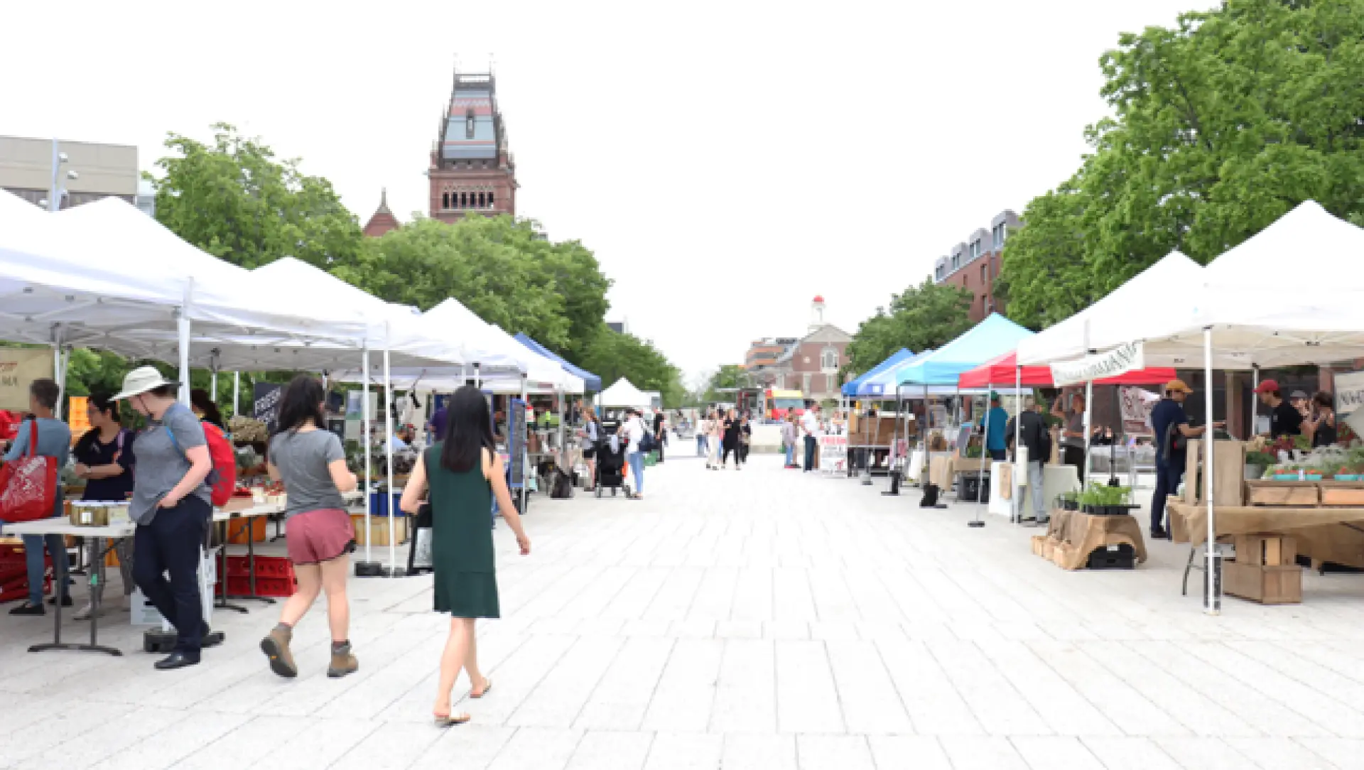 Los «Farmers markets» podrían añadir la venta de cerveza